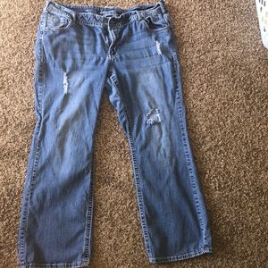Lane Bryant distressed jeans